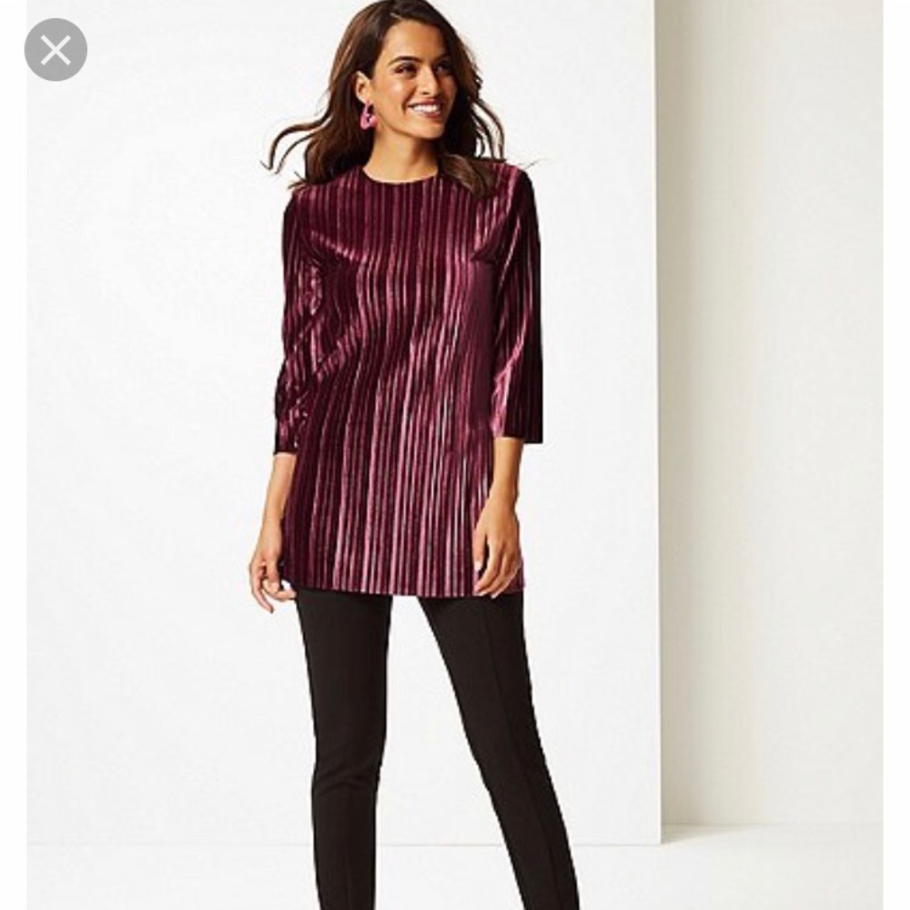 NWT Velvet Round Neck 3/4 Length Tunic
